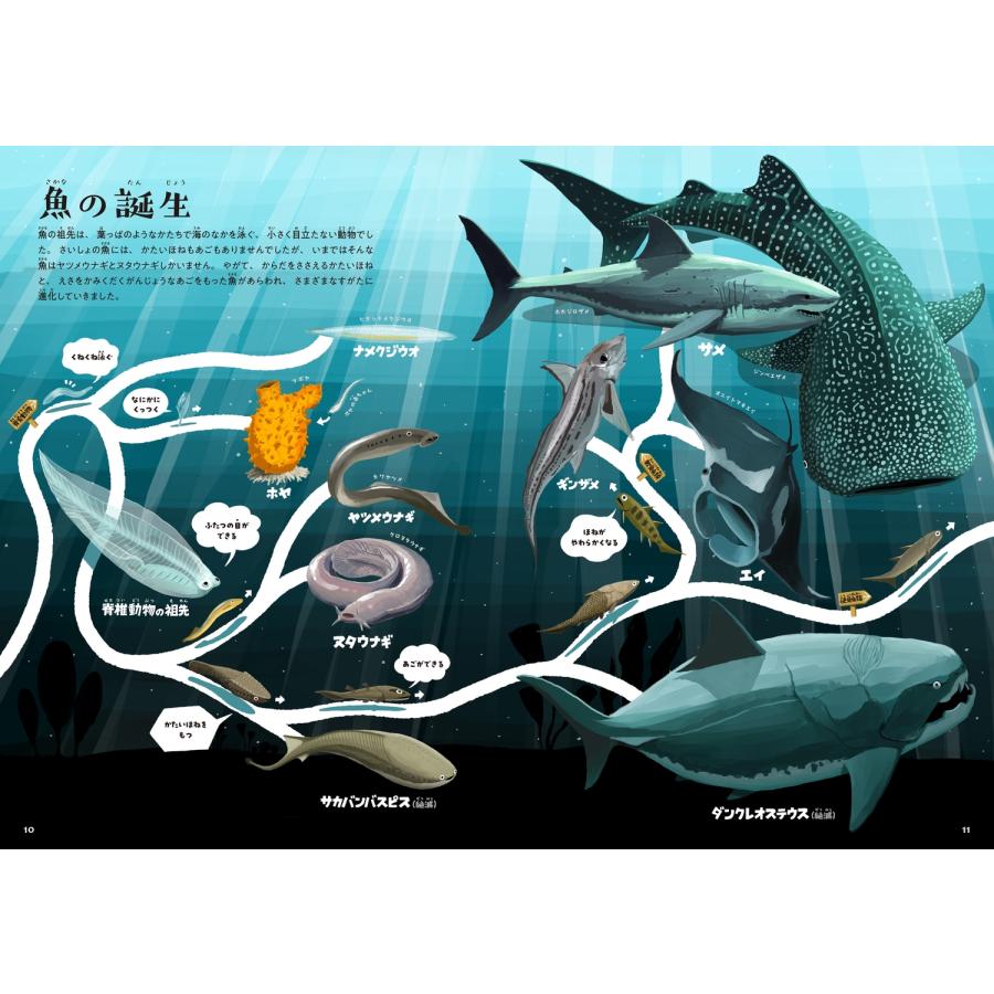 三上智之 ゆびでたどる進化のえほん Book |  | 02