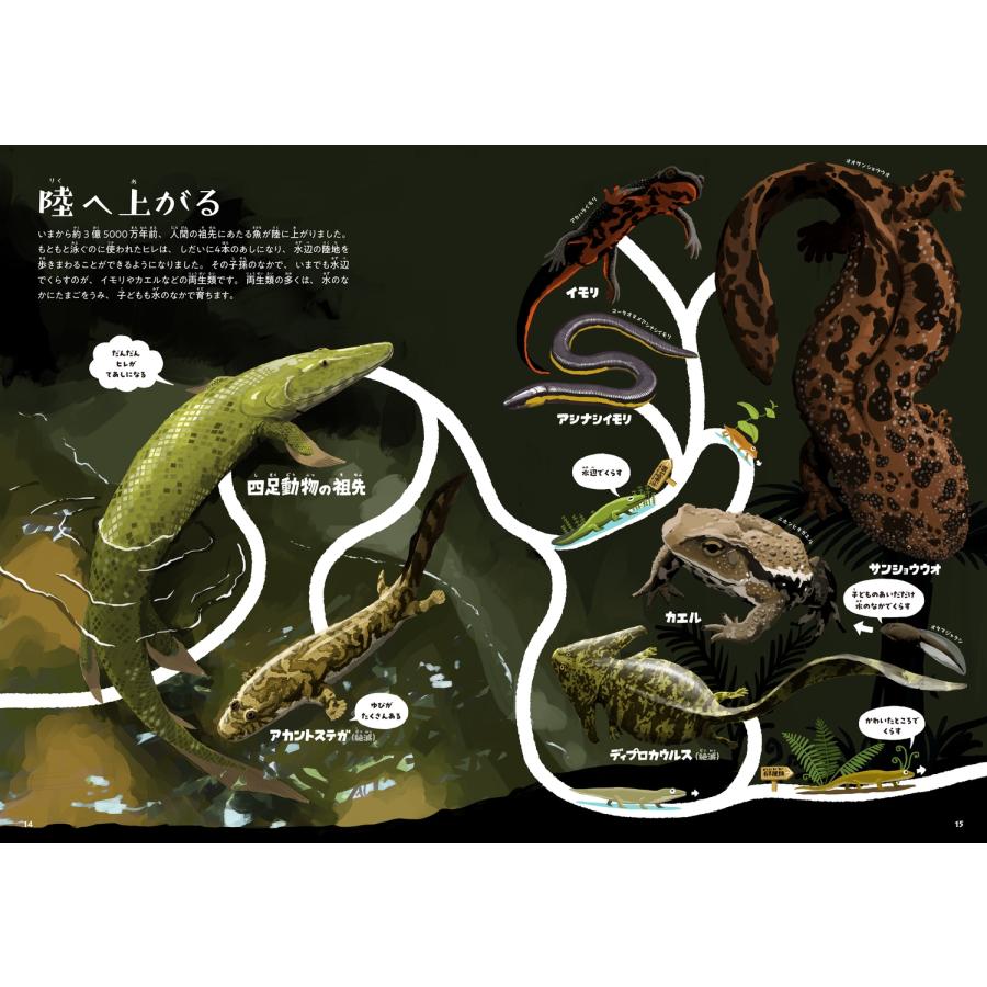 三上智之 ゆびでたどる進化のえほん Book |  | 03