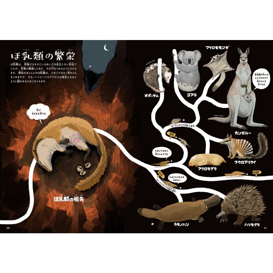 絵本百科 平凡社 1-3巻セット 絵本百科 平凡社 1-3巻セット 絵本百科