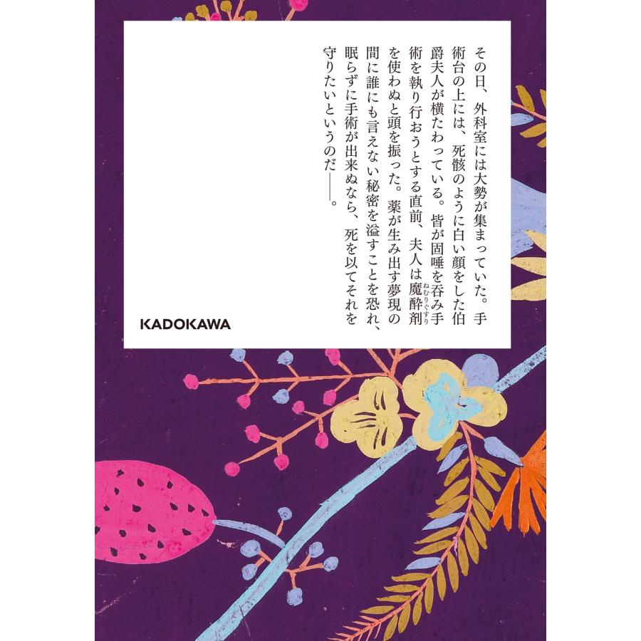 泉鏡花 100分間で楽しむ名作小説 外科室 Book : タワーレコード Yahoo