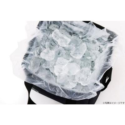 24H 極厚断熱素材が氷をキープ! 超保冷バッグBOOK Book |  | 07