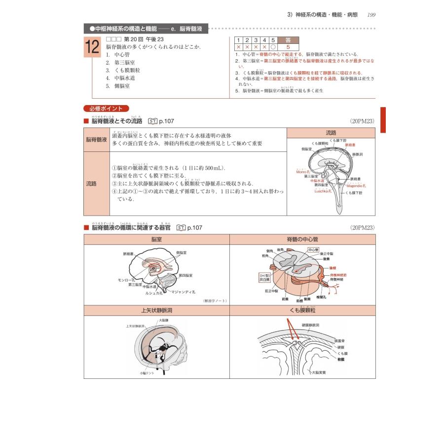 医歯薬出版 言語聴覚士国家試験必修ポイント ST基礎科目 2026