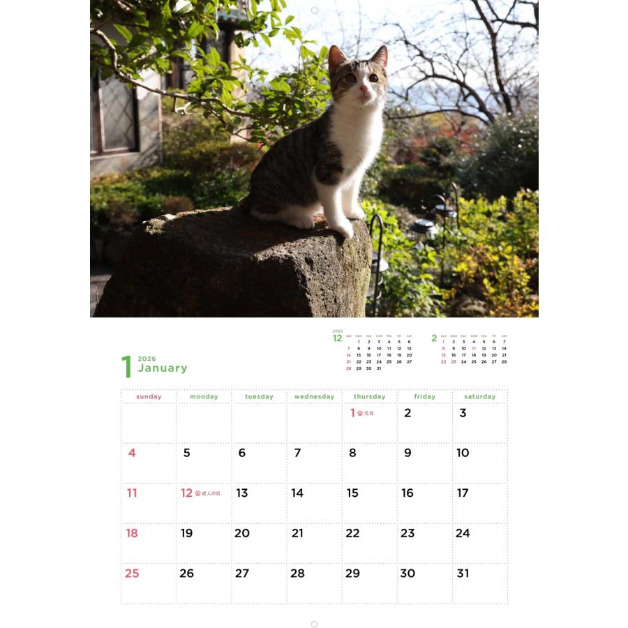 岩合光昭 岩合光昭 福ねこカレンダー2026 Book |  | 01