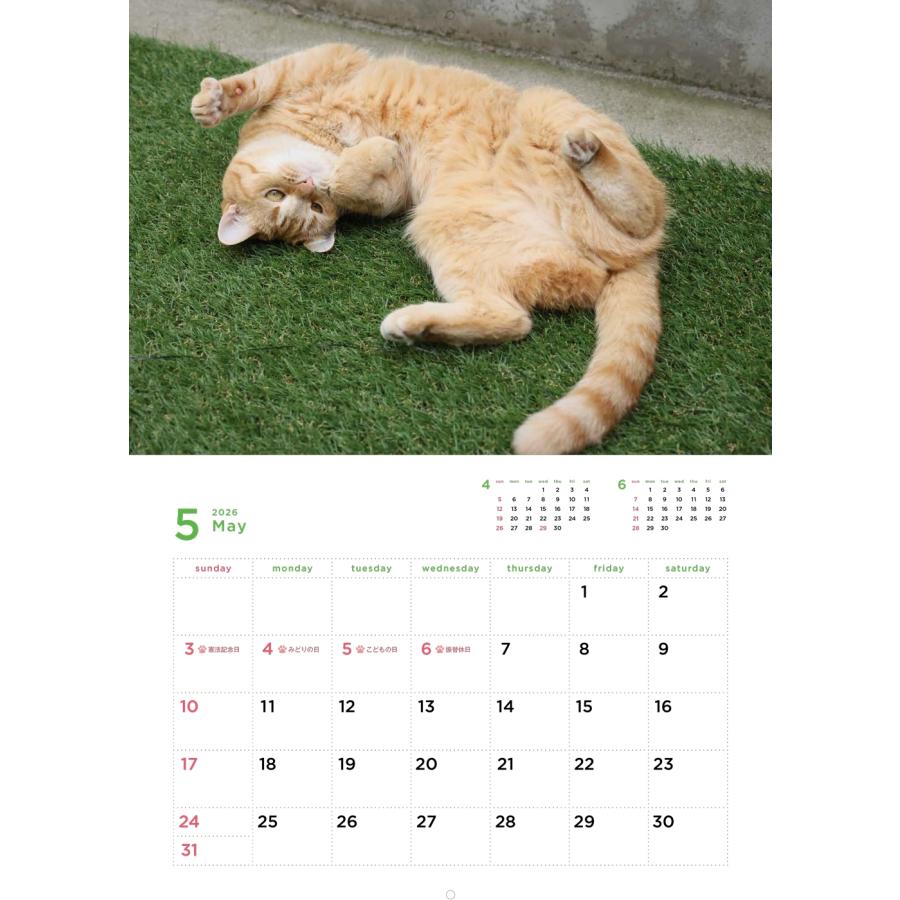 岩合光昭 岩合光昭 福ねこカレンダー2026 Book |  | 02