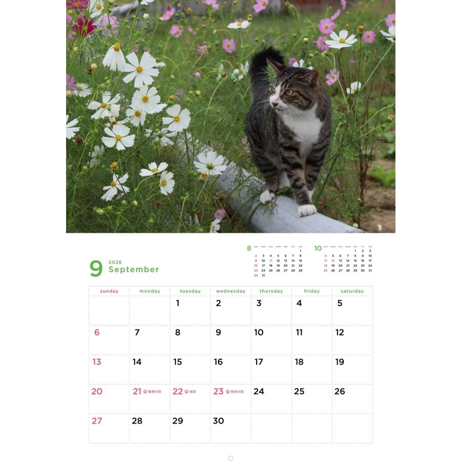 岩合光昭 岩合光昭 福ねこカレンダー2026 Book |  | 03
