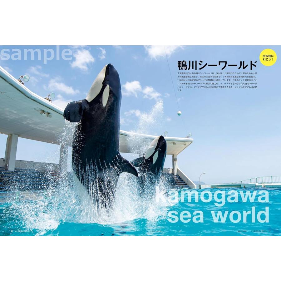 南幅俊輔 シャチまるごとBOOK Mook |  | 01