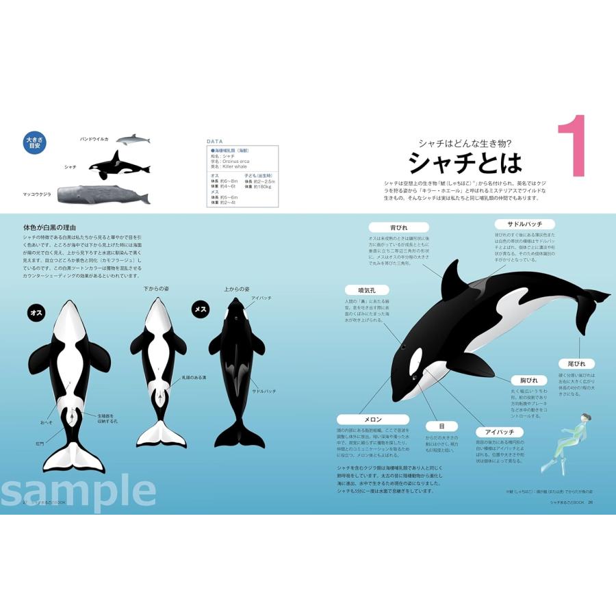南幅俊輔 シャチまるごとBOOK Mook |  | 03