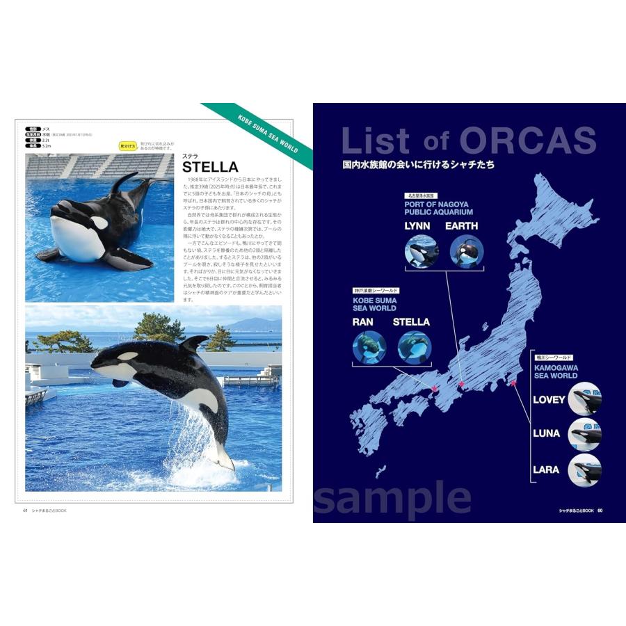 南幅俊輔 シャチまるごとBOOK Mook |  | 04