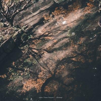 re:plus Afterimage＜限定盤＞ LP | 