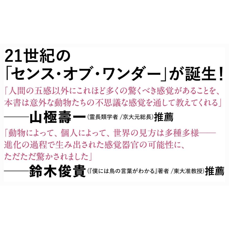 ジャッキー・ヒギンズ 人間には12の感覚がある 動物たちに学ぶセンス・オブ・ワンダー Book |  | 02