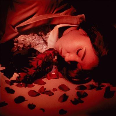 Coming Up Roses How Did We Fall So Far? LP | 