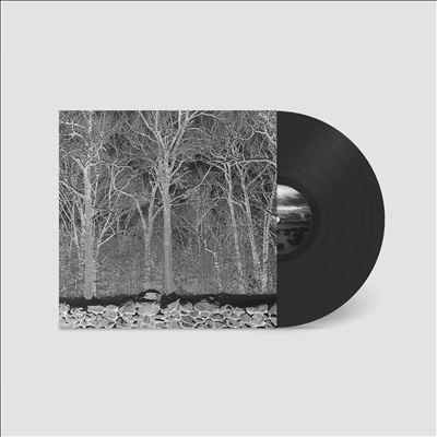 Pile Sunshine and Balance Beams LP | 