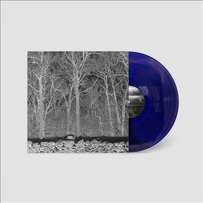 Pile Sunshine and Balance Beams＜限定盤/Transparent Mix Boris Purple Vinyl＞ LP | 
