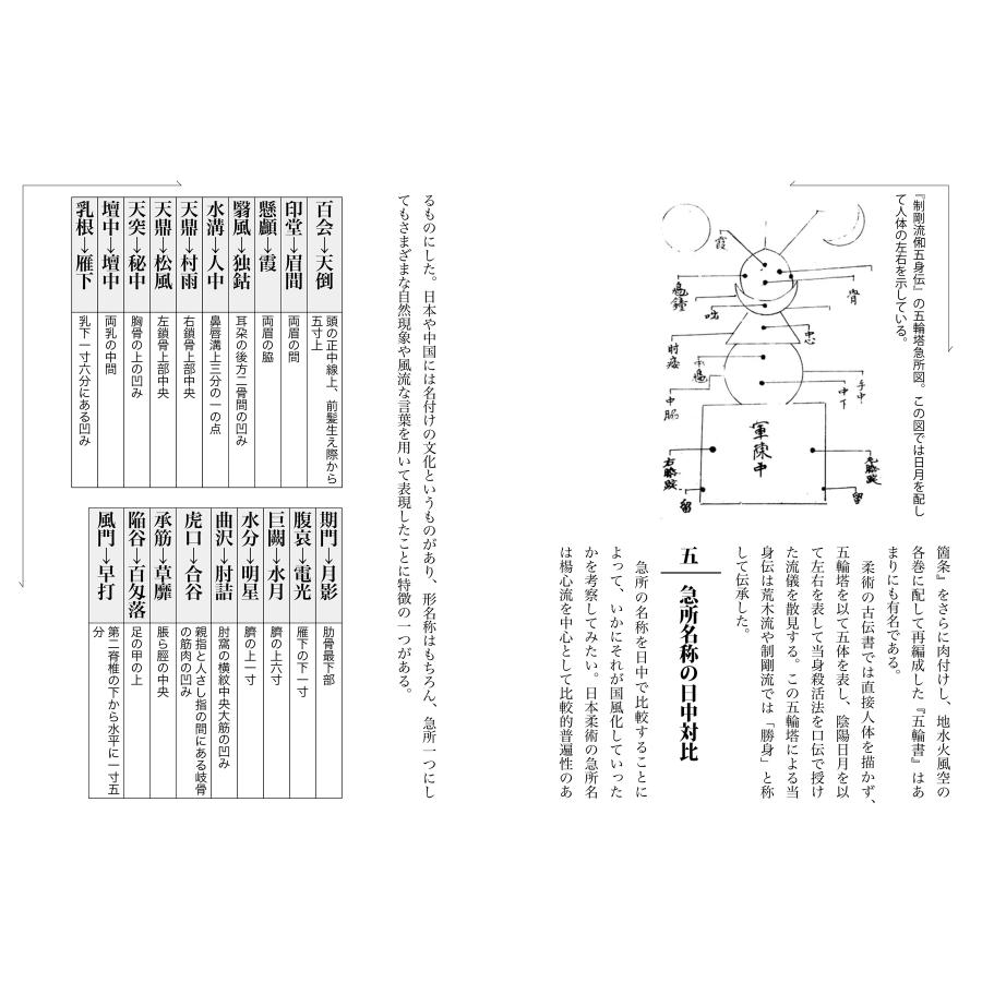 小佐野淳 当身殺活術の極意 古流柔術に伝わる秘伝打撃術 Book