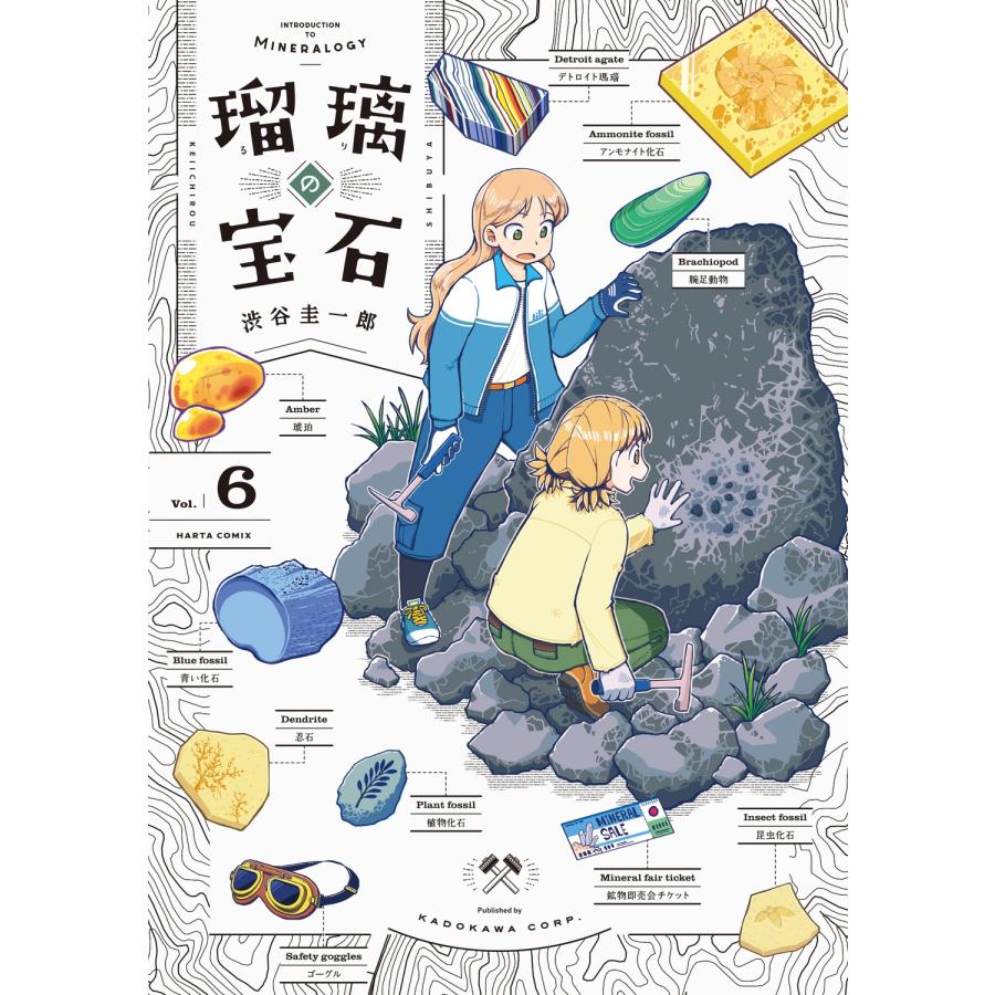 渋谷圭一郎 瑠璃の宝石 6 COMIC | 