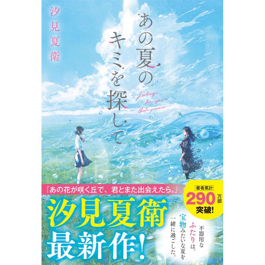 夏の海 12月31日 夏の海に入る実績解除 #タスマニアツーリング