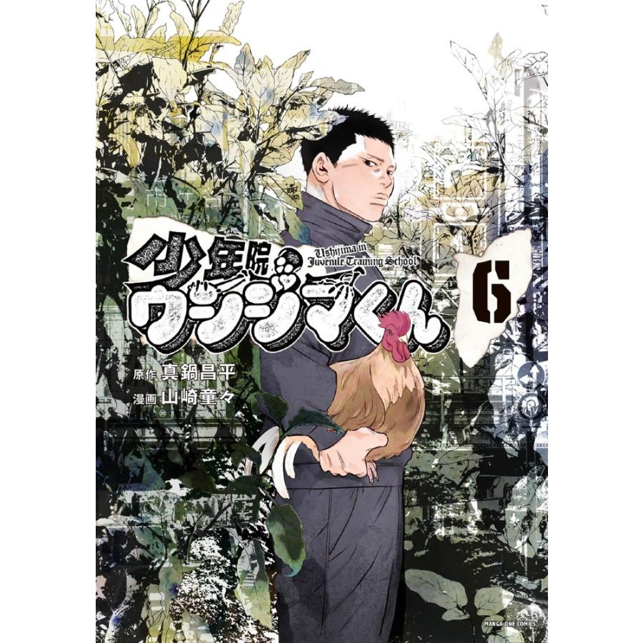 真鍋昌平 少年院ウシジマくん (6) COMIC | 