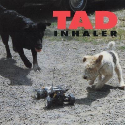 Tad Inhaler CD | 