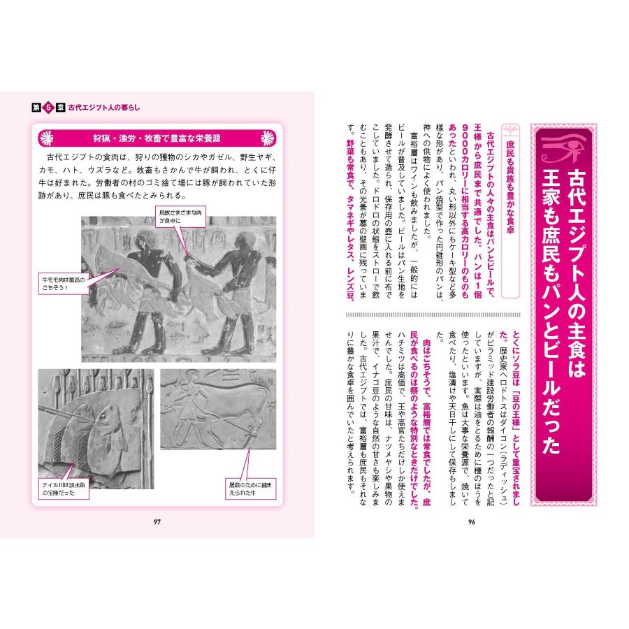 河合望 眠れなくなるほど面白い 図解 古代エジプトの話 古代エジプトの謎と魅力を最新考古学で徹底解説! Book |  | 05