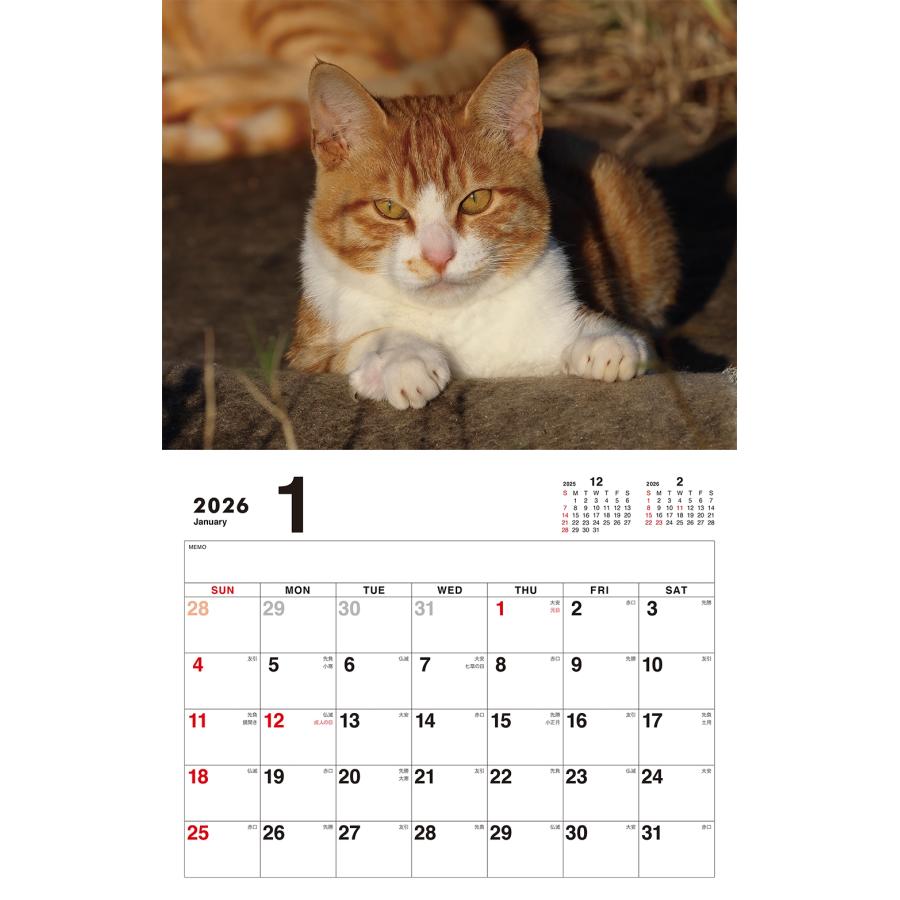 岩合光昭 ボス猫カレンダー2026 Book |  | 02