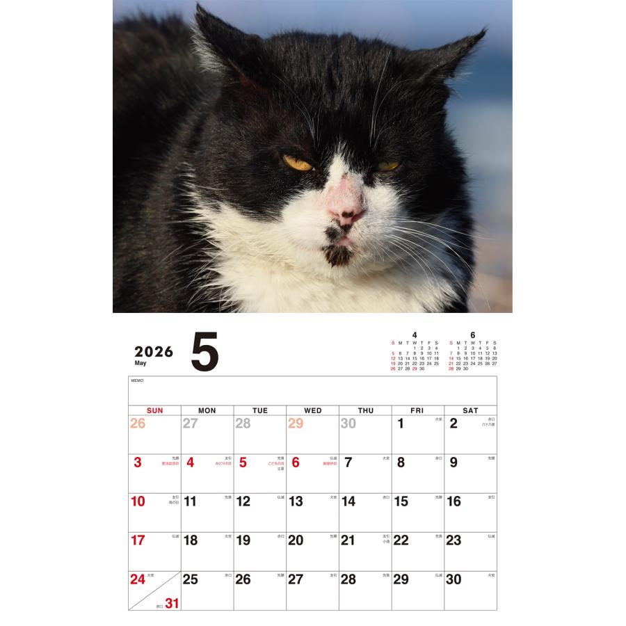 岩合光昭 ボス猫カレンダー2026 Book |  | 03