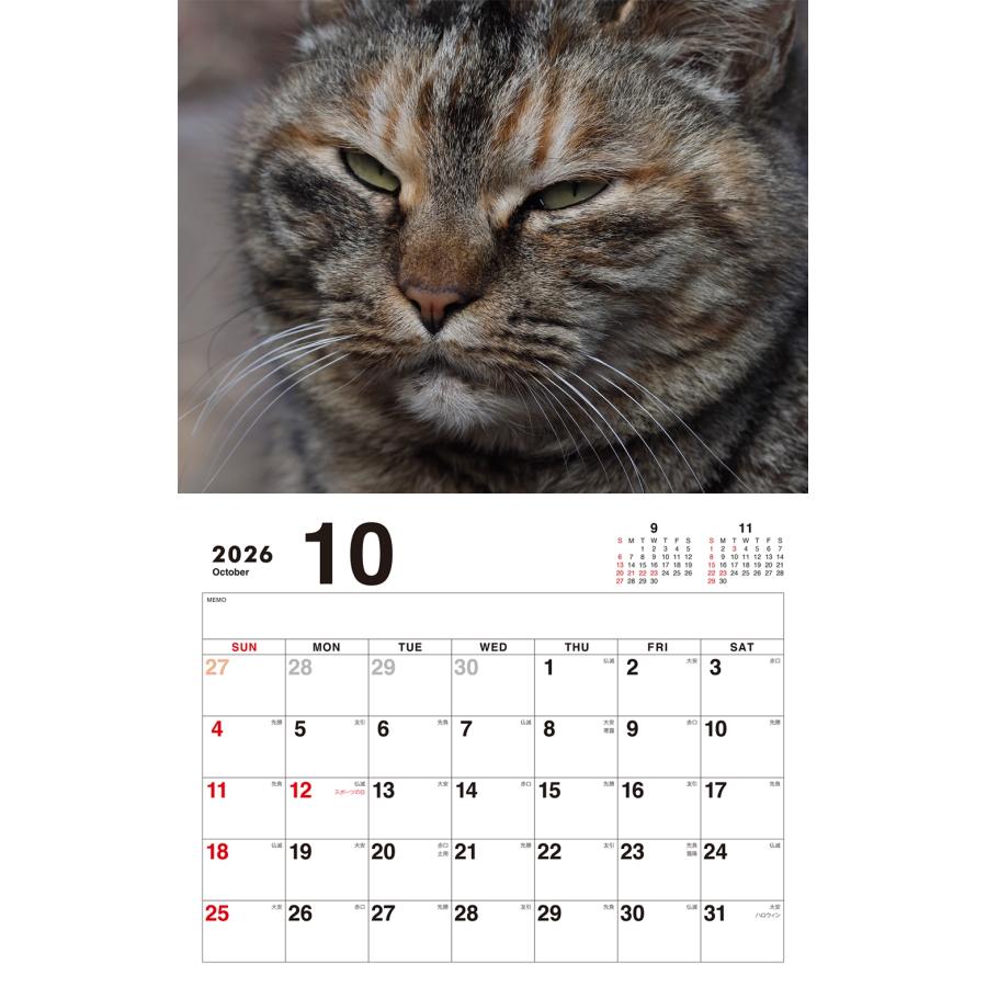 岩合光昭 ボス猫カレンダー2026 Book |  | 04