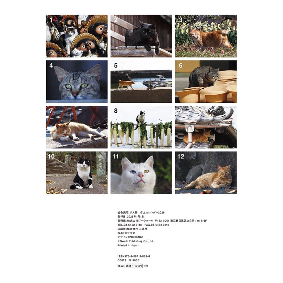 岩合光昭 ボス猫卓上カレンダー2026 Book : タワーレコード Yahoo!店
