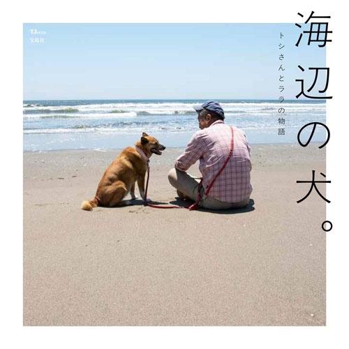 トシ 海辺の犬。 Mook | 