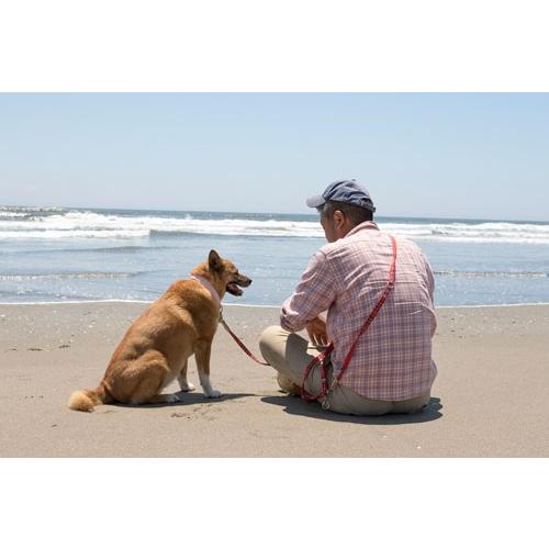 トシ 海辺の犬。 Mook |  | 01