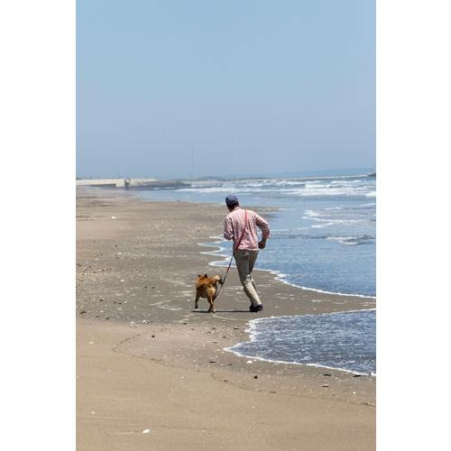 トシ 海辺の犬。 Mook |  | 02