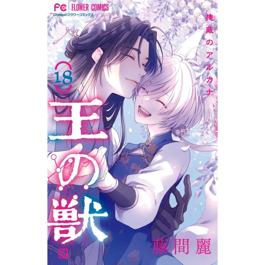 藤間麗 王の獣 (18) 掩蔽のアルカナ COMIC | 