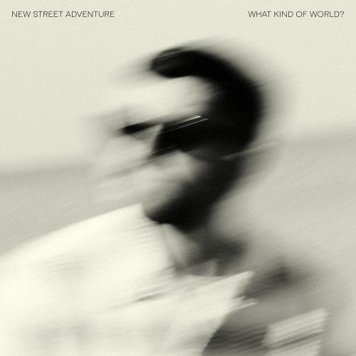 New Street Adventure What Kind Of World?＜限定生産盤＞ CD | 