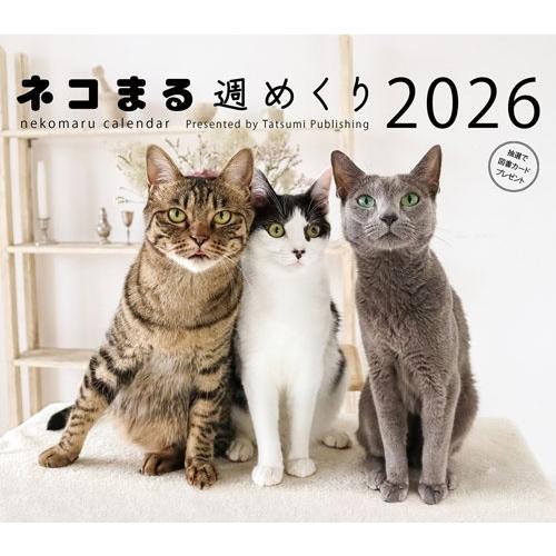 ネコまる編集部 2026 カレンダー ネコまる週めくり Calendar | 