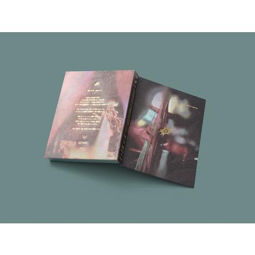 ずっと真夜中でいいのに。 永遠深夜万博「名巧は愚なるが如し