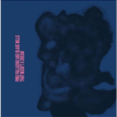 Pino Palladino That Wasnt a Dream CD | 