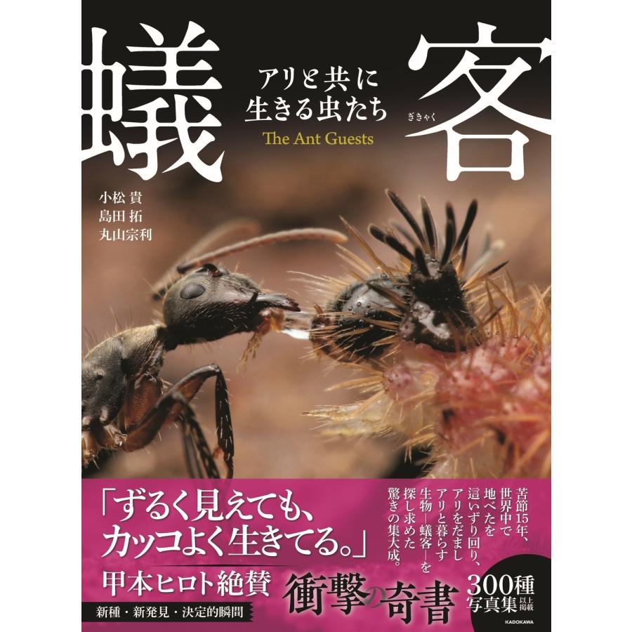 小松貴 蟻客 アリと共に生きる虫たち Book | 