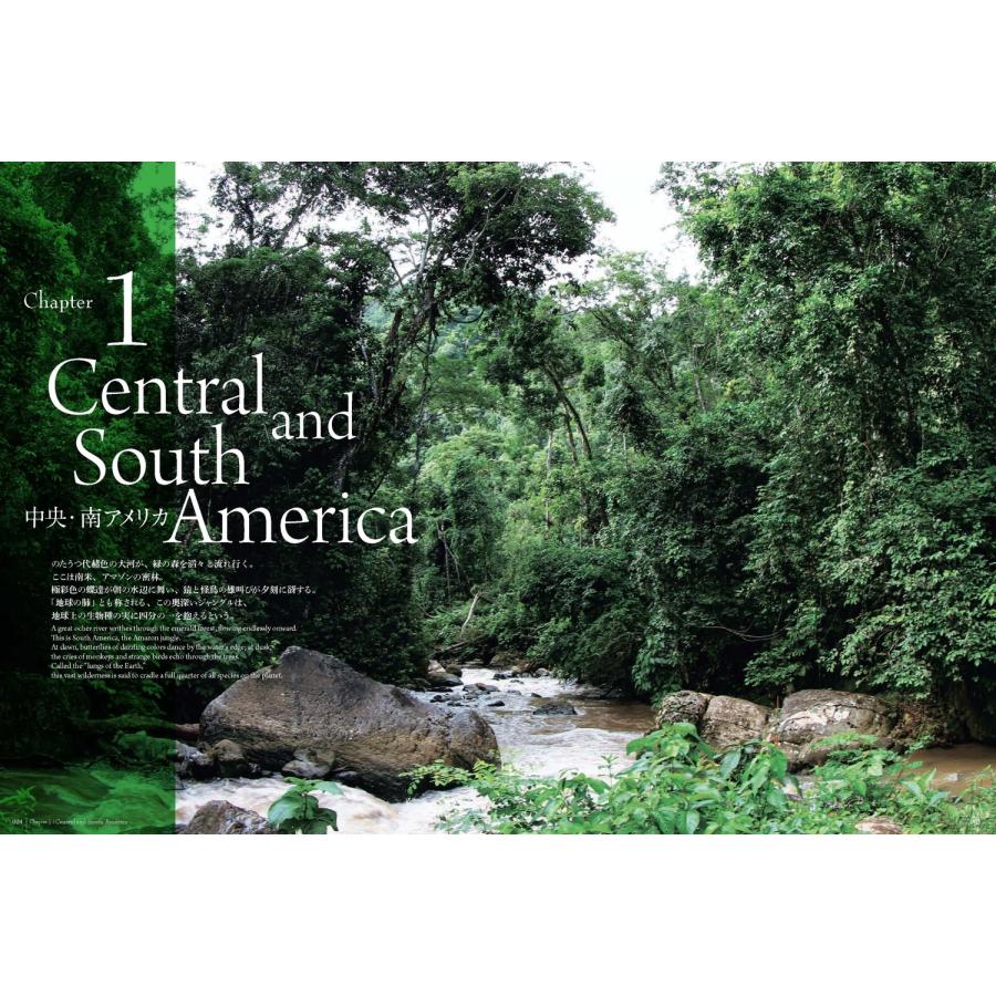 小松貴 蟻客 アリと共に生きる虫たち Book |  | 02