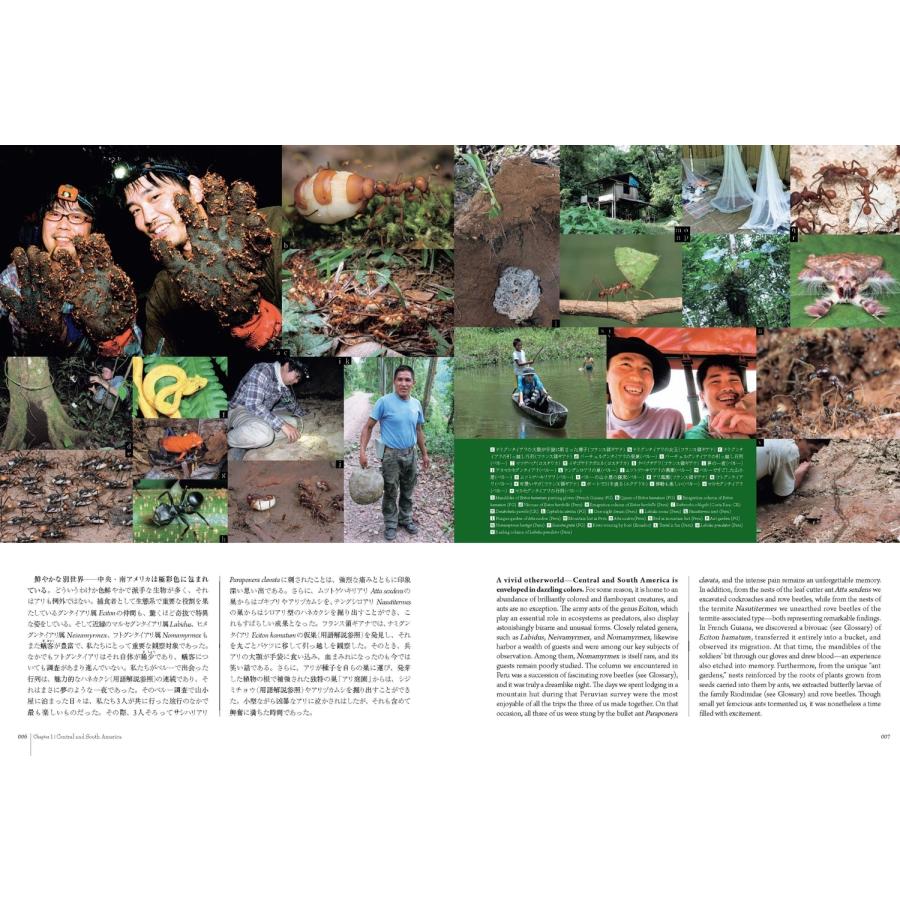 小松貴 蟻客 アリと共に生きる虫たち Book |  | 03