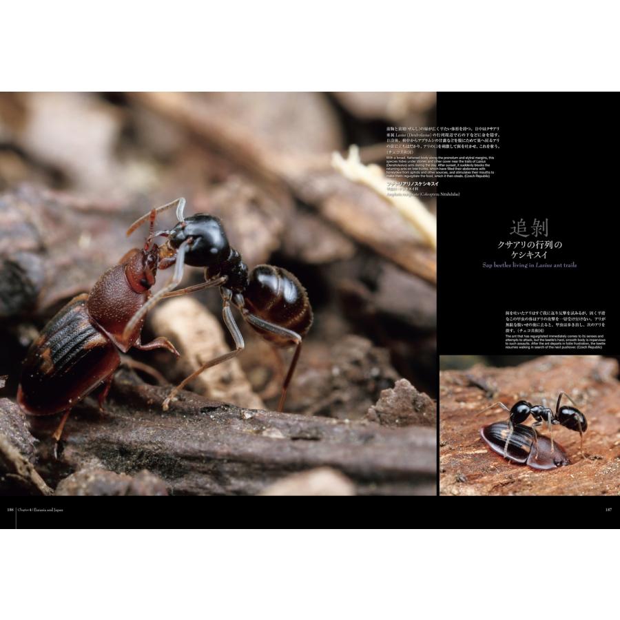 小松貴 蟻客 アリと共に生きる虫たち Book |  | 04