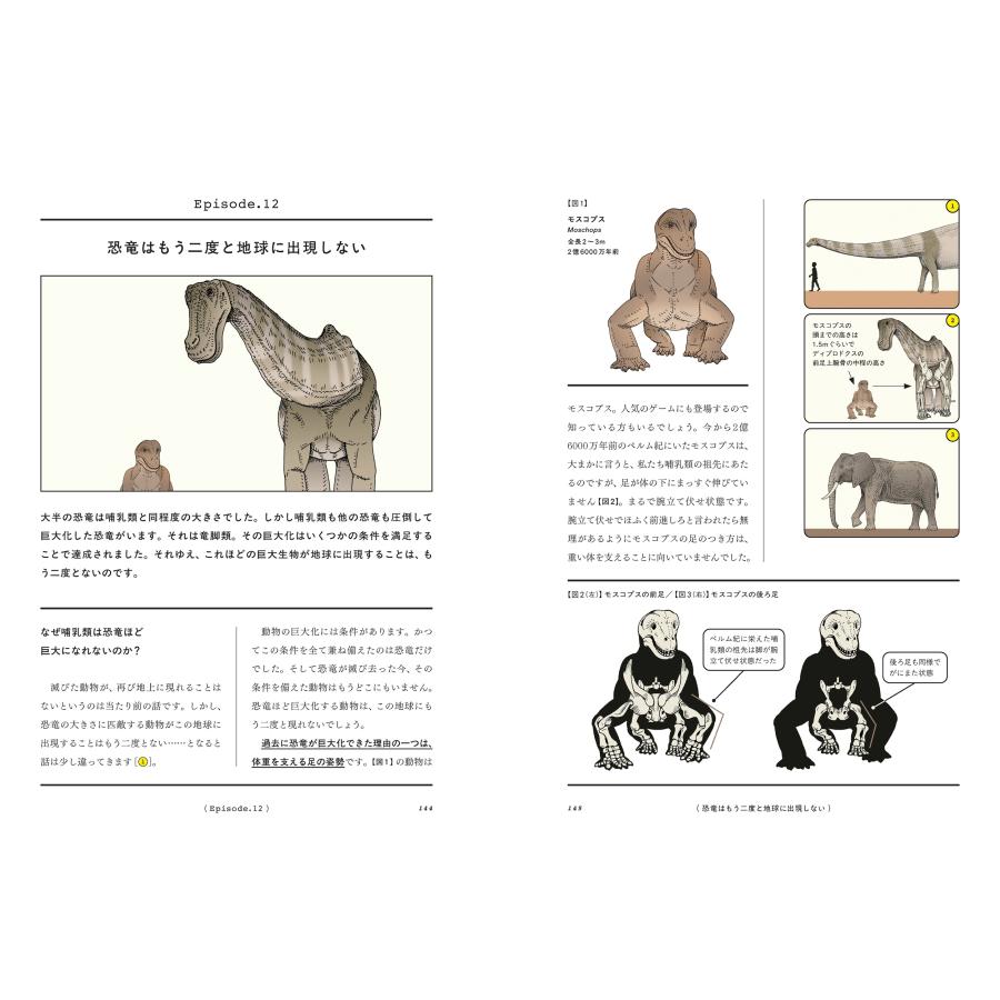 北村雄一 アフター・サピエンス Book |  | 05