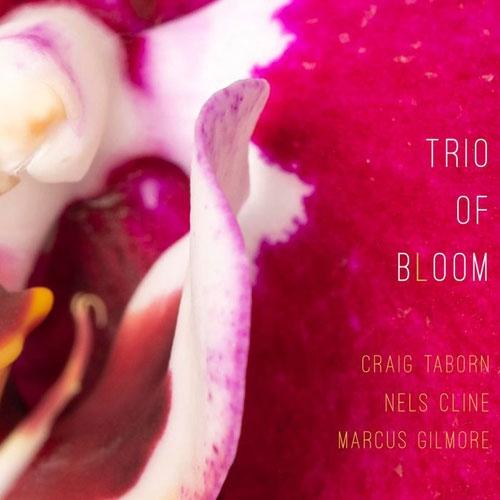 Trio Of Bloom Trio Of Bloom CD | 