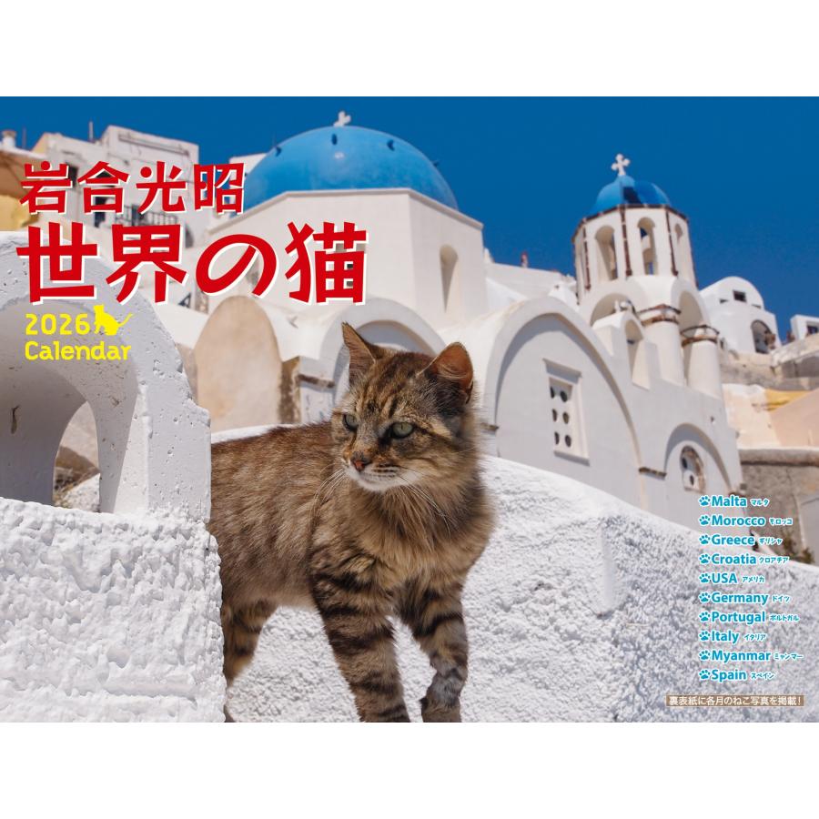 岩合光昭 岩合光昭 世界の猫カレンダー 2026 Book | 