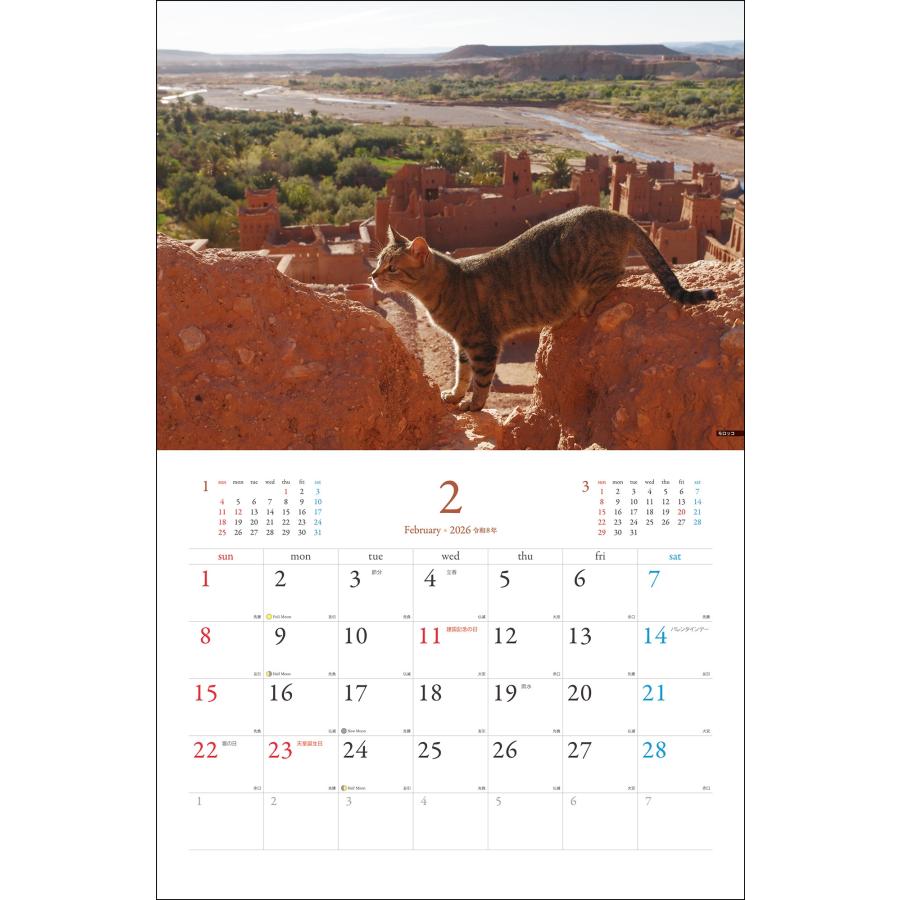 岩合光昭 岩合光昭 世界の猫カレンダー 2026 Book |  | 01