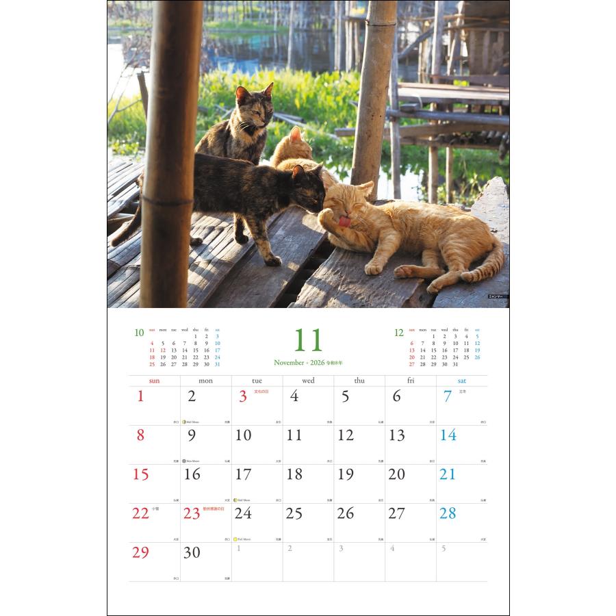 岩合光昭 岩合光昭 世界の猫カレンダー 2026 Book |  | 02