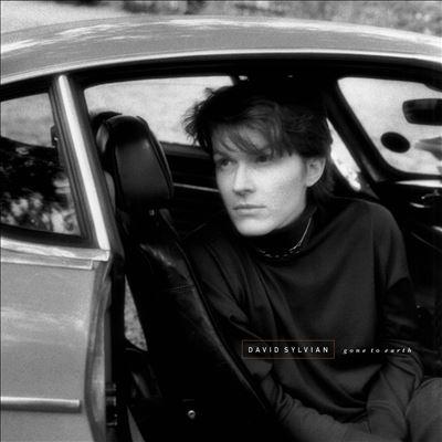David Sylvian Gone to Earth＜White/Brown/Opaque Black Vinyl＞ LP | 