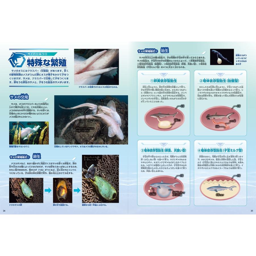 アクアワールド茨城県大洗水族館 サメ Book |  | 01