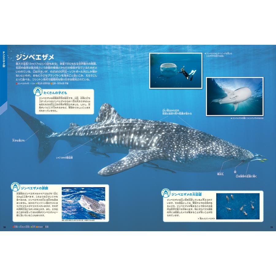 アクアワールド茨城県大洗水族館 サメ Book |  | 02