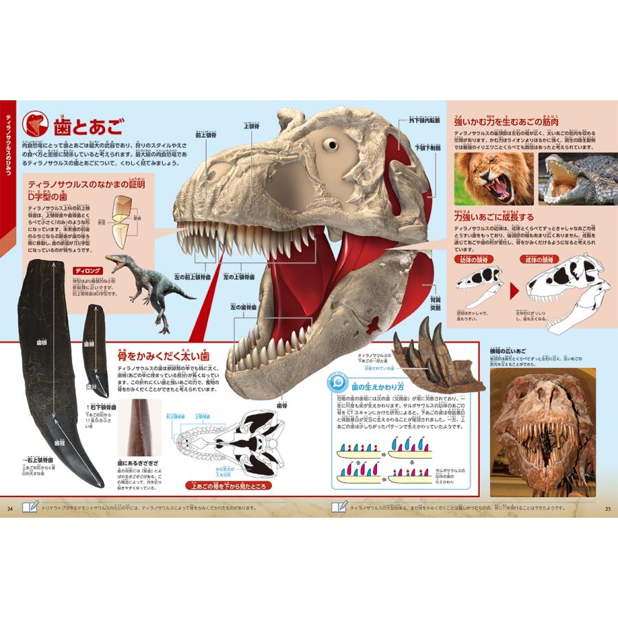 真鍋真 ティラノサウルス Book |  | 01