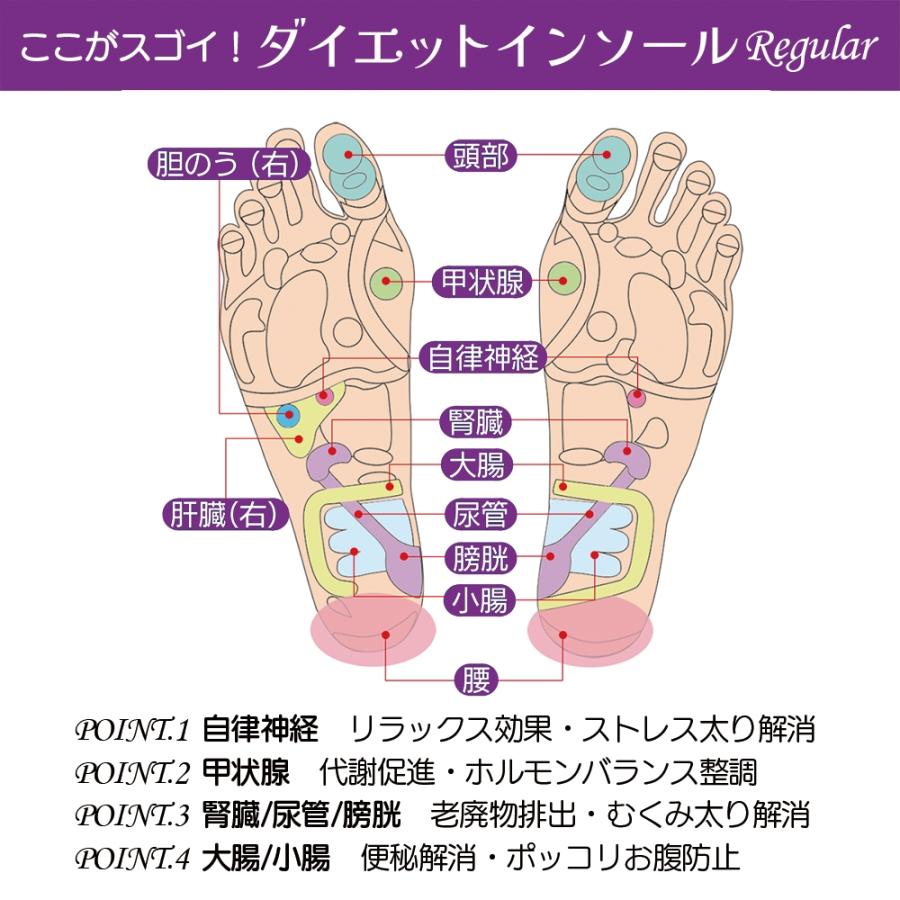 クイーンズウェイ ダイエットインソール Regular(レギュラー) Book |  | 02