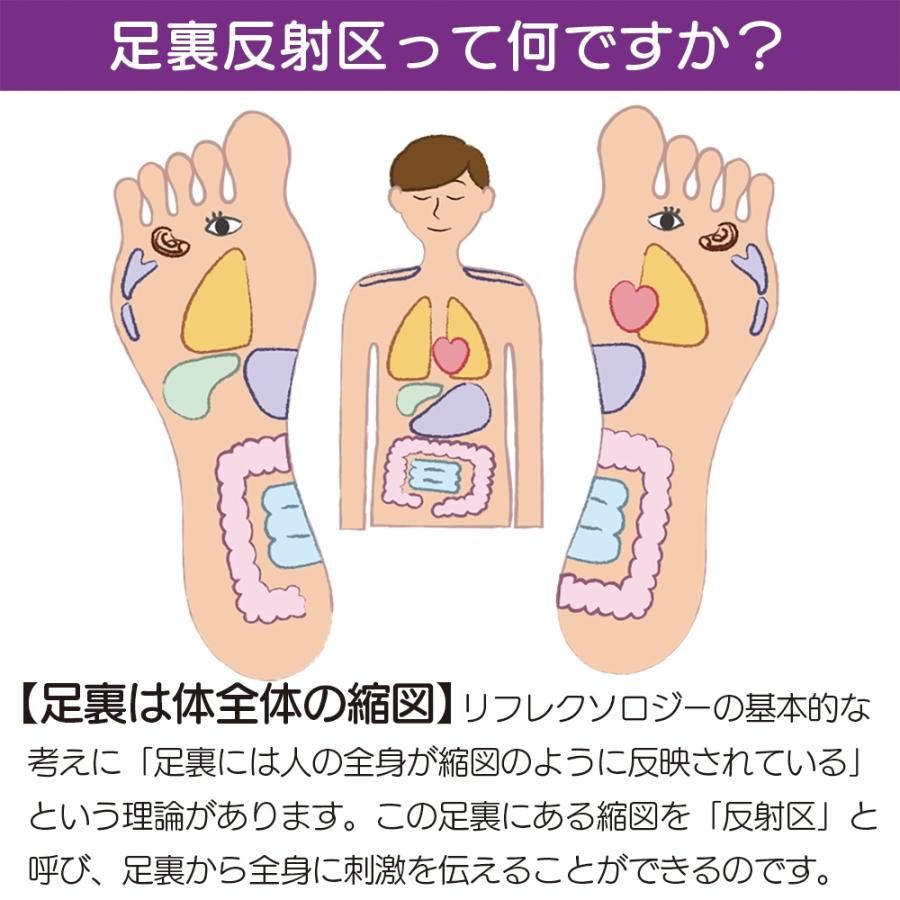 クイーンズウェイ ダイエットインソール Regular(レギュラー) Book |  | 03